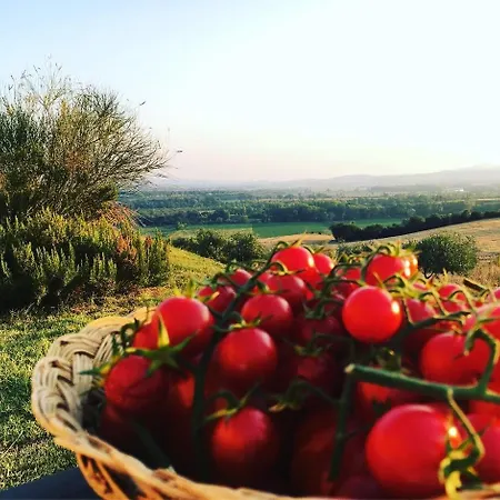 דירה Casa Argilla, Podere Granai, Borgo Tre Poderi